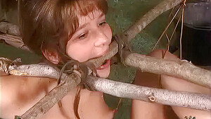 Insex 2005 08 31 By The Fireplace